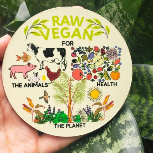 Magnet: Raw Vegan (Indoor and Outdoor)