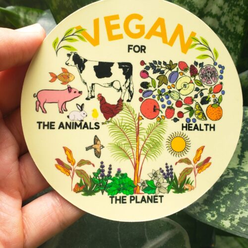 Magnet: Vegan (Indoor and Outdoor)