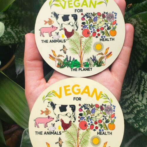 Magnets: Vegan and Raw Vegan (Indoor and Outdoor)