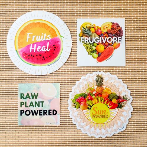 Stickers: Healthy Lifestyle 4-Pack (With website name)