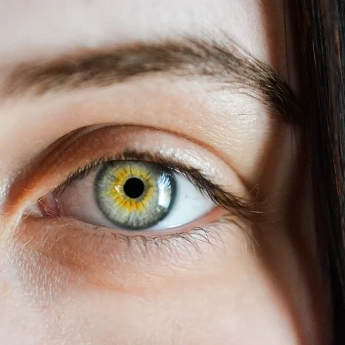 A Full Personalized Iridology Analysis Report (Virtual)